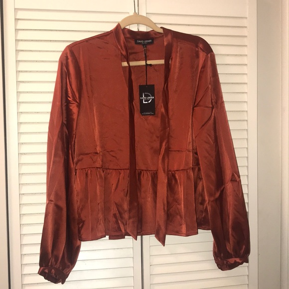 π₯HPπ₯David Lerner necktie Blouse.π₯π₯π₯π₯π₯π₯ - Picture 3 of 6